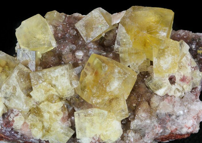 Lustrous, Yellow Cubic Fluorite Crystals - Morocco #44896